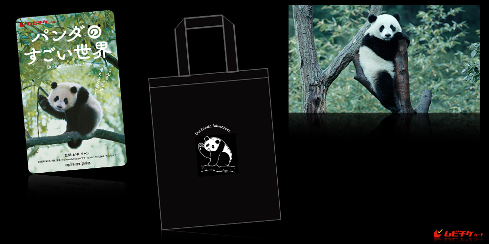 パンダのすごい世界