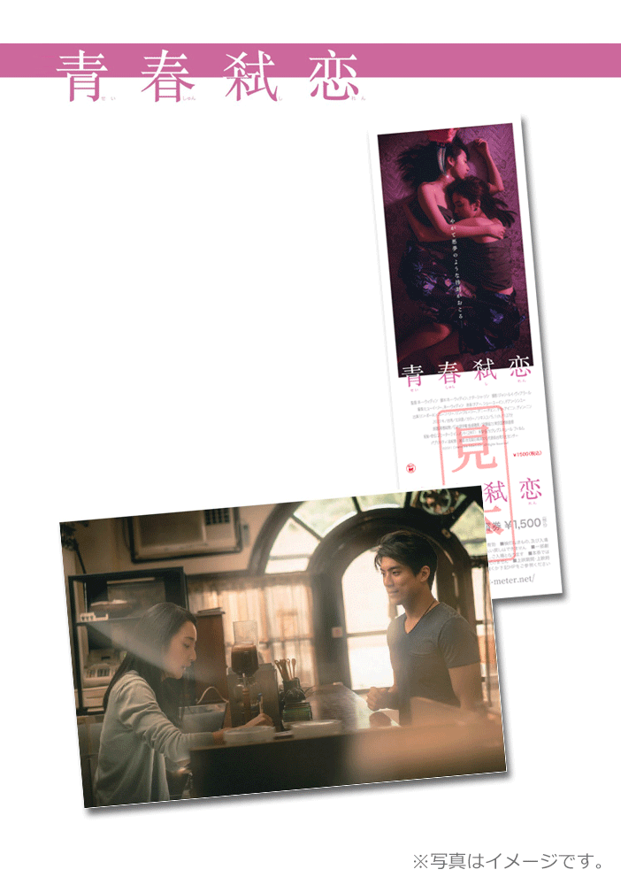 青春弑恋