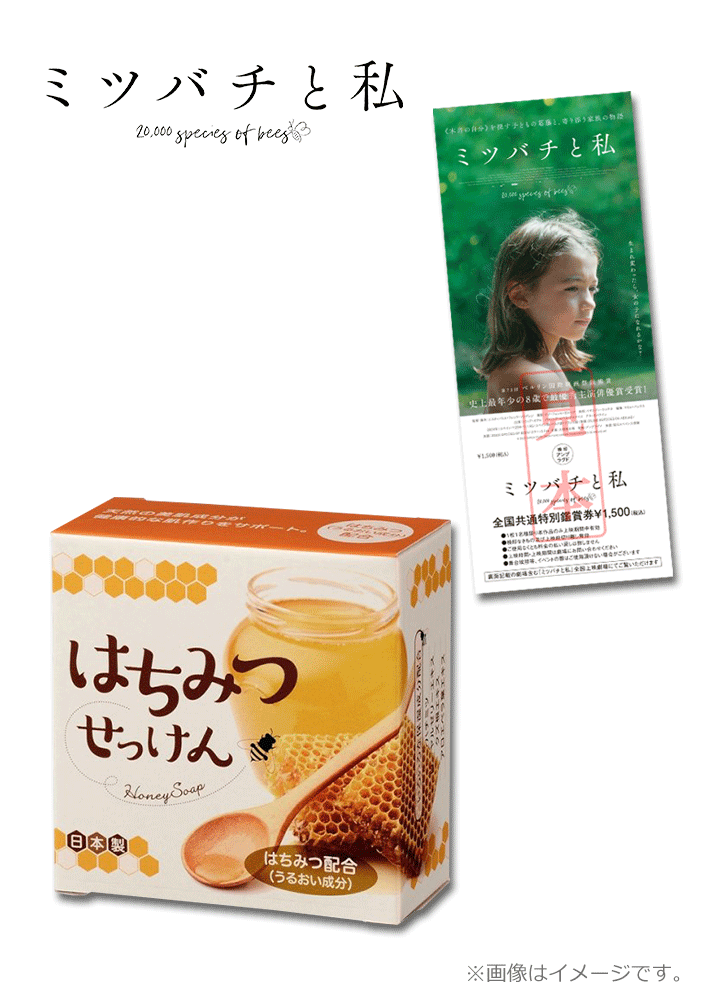 ミツバチと私
