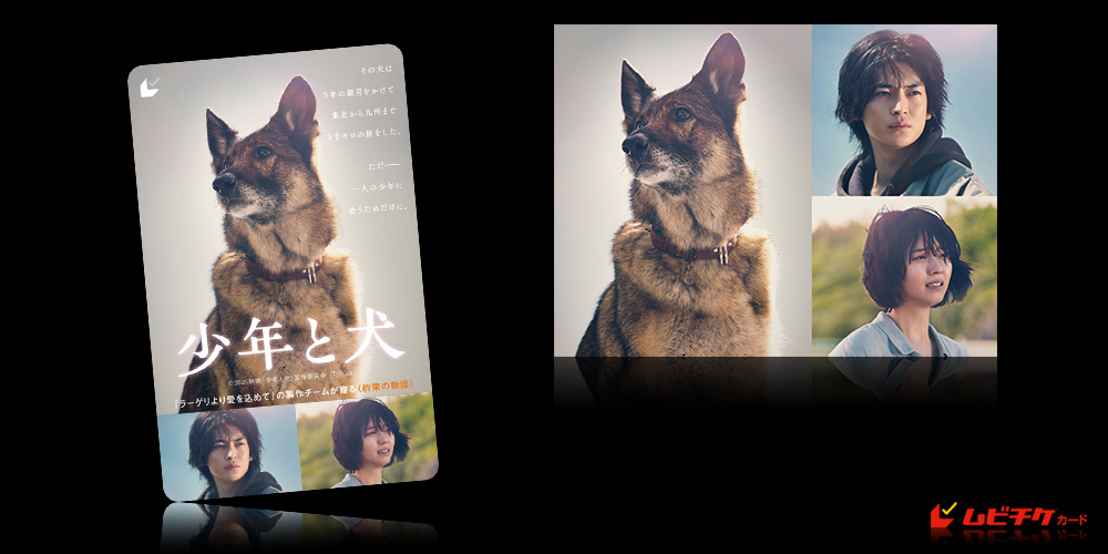 映画『少年と犬』