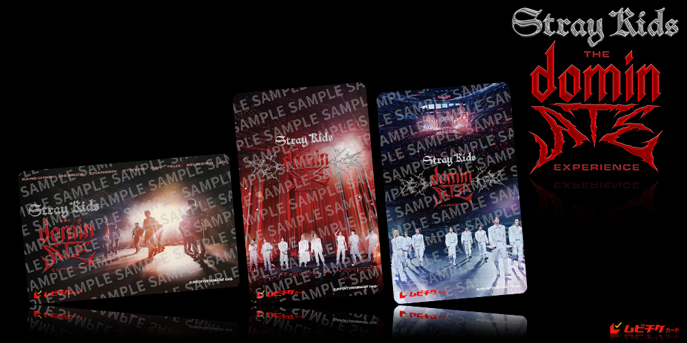 Stray Kids : The dominATE Experie...