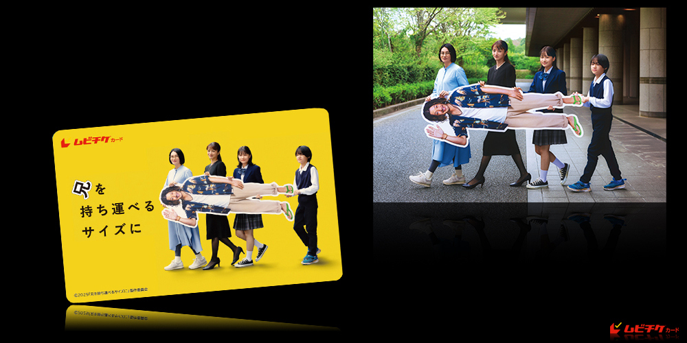 兄を持ち運べるサイズに